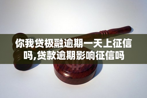 你我贷极融逾期一天上征信吗,贷款逾期影响征信吗