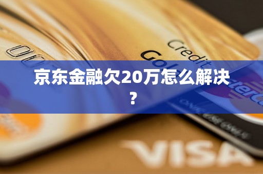 京东金融欠20万怎么解决？