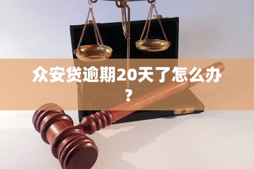 众安贷逾期20天了怎么办？