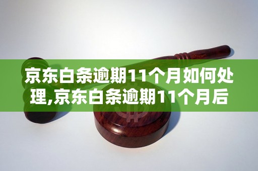 京东白条逾期11个月如何处理,京东白条逾期11个月后果严重吗