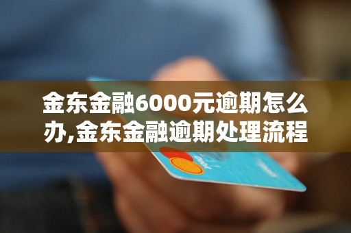 金东金融6000元逾期怎么办,金东金融逾期处理流程详解