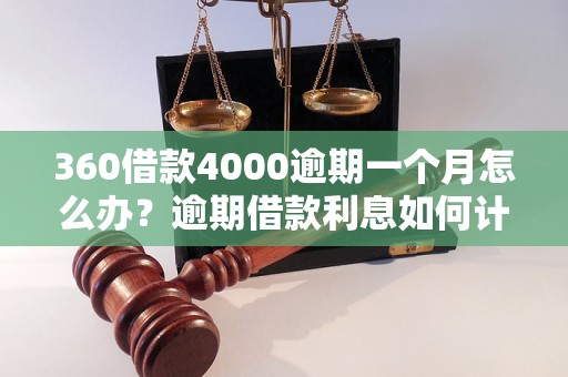 360借款4000逾期一个月怎么办？逾期借款利息如何计算？