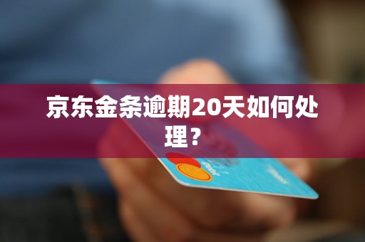 京东金条逾期20天如何处理？