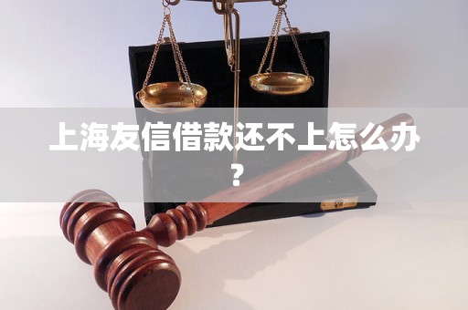 上海友信借款还不上怎么办？