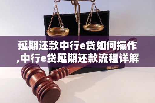 延期还款中行e贷如何操作,中行e贷延期还款流程详解