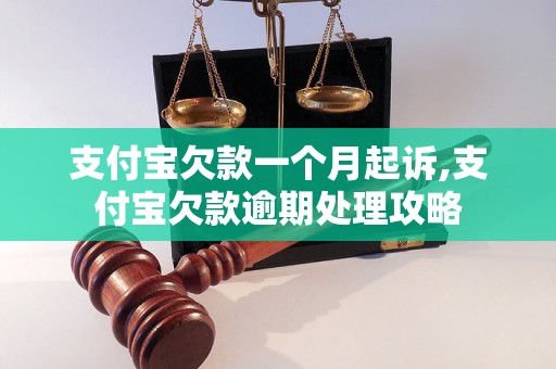 支付宝欠款一个月起诉,支付宝欠款逾期处理攻略