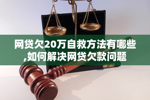 网贷欠20万自救方法有哪些,如何解决网贷欠款问题