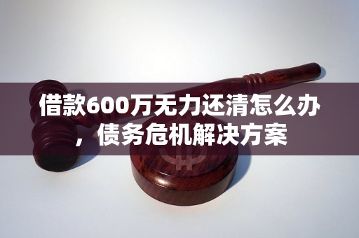 借款600万无力还清怎么办，债务危机解决方案