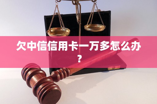 欠中信信用卡一万多怎么办？