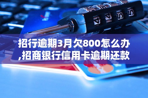 招行逾期3月欠800怎么办,招商银行信用卡逾期还款攻略