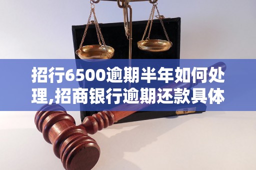 招行6500逾期半年如何处理,招商银行逾期还款具体操作步骤