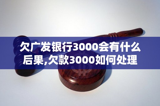 欠广发银行3000会有什么后果,欠款3000如何处理