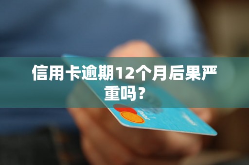 信用卡逾期12个月后果严重吗？