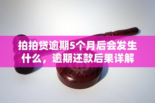 拍拍贷逾期5个月后会发生什么，逾期还款后果详解