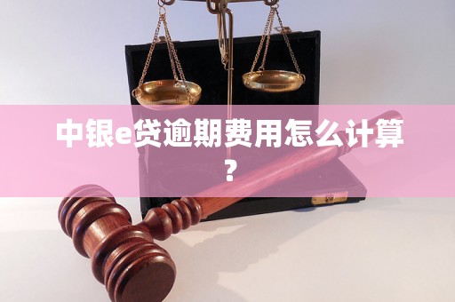 中银e贷逾期费用怎么计算？