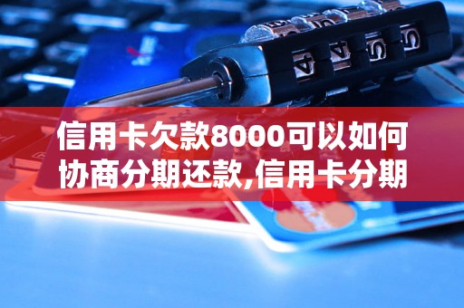 信用卡欠款8000可以如何协商分期还款,信用卡分期还款流程详解