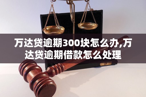 万达贷逾期300块怎么办,万达贷逾期借款怎么处理