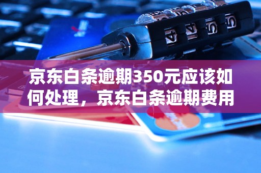 京东白条逾期350元应该如何处理，京东白条逾期费用计算方式