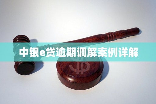 中银e贷逾期调解案例详解