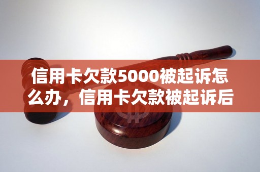 信用卡欠款5000被起诉怎么办，信用卡欠款被起诉后的解决方法