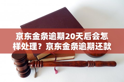 京东金条逾期20天后会怎样处理？京东金条逾期还款后影响及处理方式