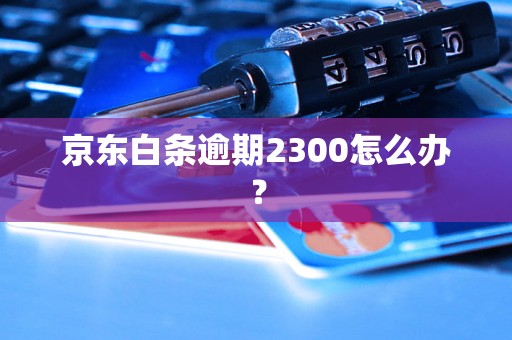 京东白条逾期2300怎么办？