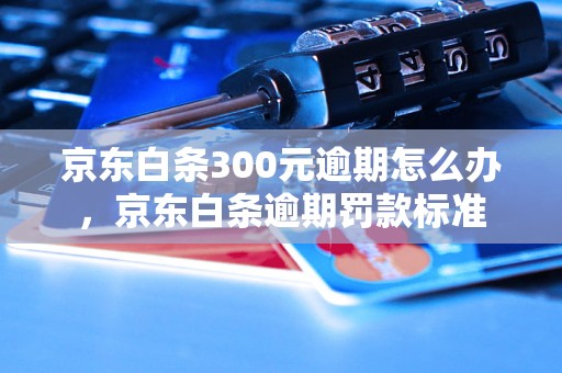 京东白条300元逾期怎么办，京东白条逾期罚款标准