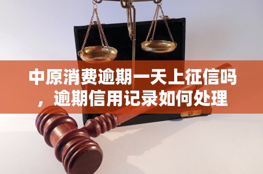 中原消费逾期一天上征信吗，逾期信用记录如何处理