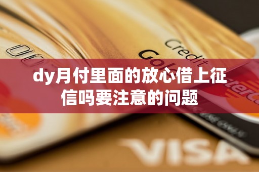 dy月付里面的放心借上征信吗要注意的问题