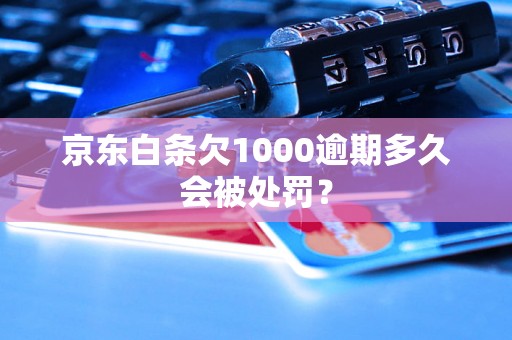 京东白条欠1000逾期多久会被处罚？