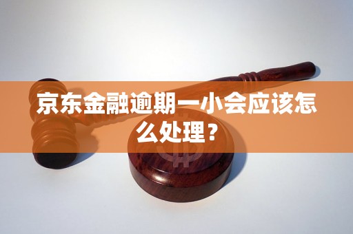 京东金融逾期一小会应该怎么处理？