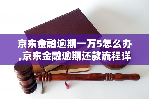 京东金融逾期一万5怎么办,京东金融逾期还款流程详解