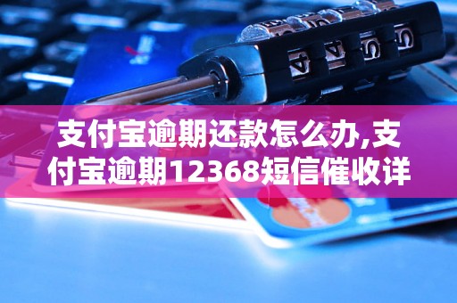 支付宝逾期还款怎么办,支付宝逾期12368短信催收详解