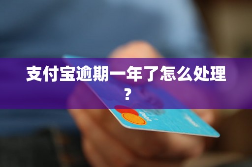 支付宝逾期一年了怎么处理？