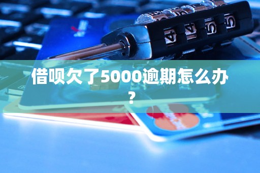 借呗欠了5000逾期怎么办？