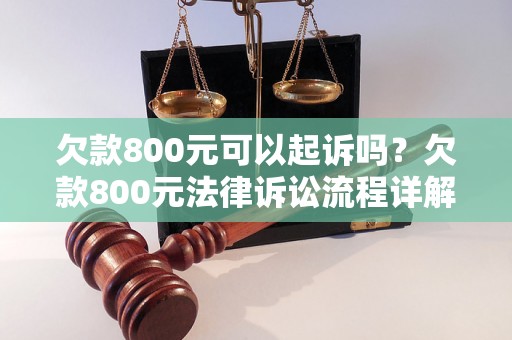 欠款800元可以起诉吗？欠款800元法律诉讼流程详解