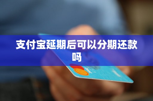 支付宝延期后可以分期还款吗