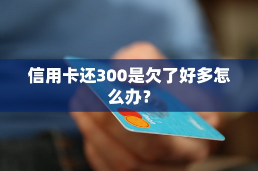 信用卡还300是欠了好多怎么办？