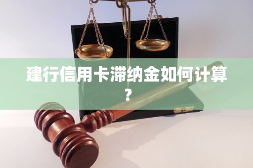 建行信用卡滞纳金如何计算？