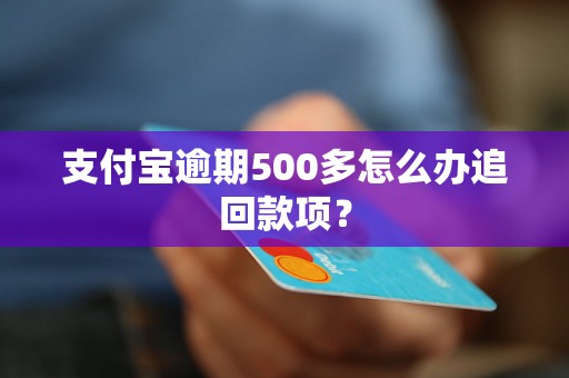 支付宝逾期500多怎么办追回款项？