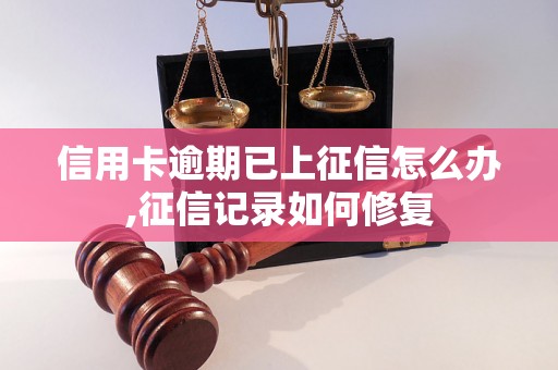 信用卡逾期已上征信怎么办,征信记录如何修复