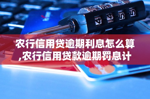 农行信用贷逾期利息怎么算,农行信用贷款逾期罚息计算方式