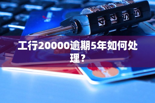 工行20000逾期5年如何处理？