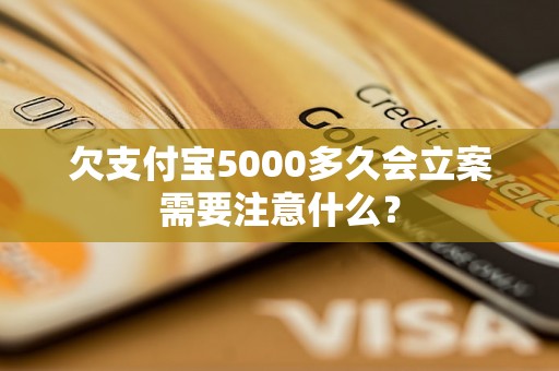 欠支付宝5000多久会立案需要注意什么？