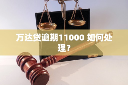 万达贷逾期11000 如何处理？