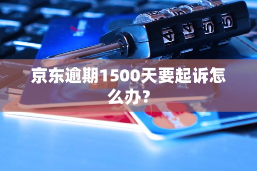 京东逾期1500天要起诉怎么办？