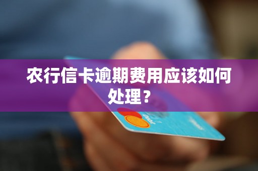 农行信卡逾期费用应该如何处理？