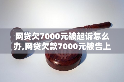 网贷欠7000元被起诉怎么办,网贷欠款7000元被告上法庭应该注意什么