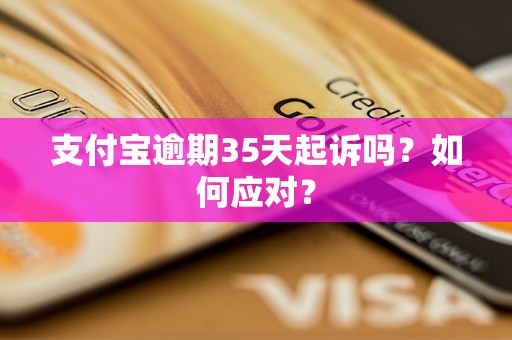 支付宝逾期35天起诉吗？如何应对？