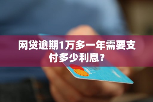 网贷逾期1万多一年需要支付多少利息？